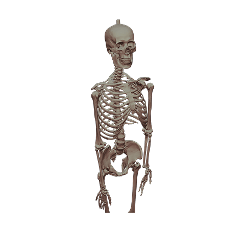 human human